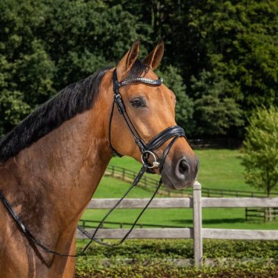 Dy'on Dressage Collection Round Leather Matte Medium Crank Noseband Bridle with Flash - Image 2
