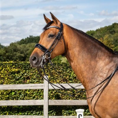 Dy'on Dressage Collection Round Leather Patent Large Crank Noseband Double Bridle - Image 2