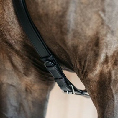 Dy'on New English Collection 5 Points Breastplate with Elastic - Image 2