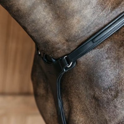 Dy'on New English Collection 5 Points Breastplate with Elastic - Image 4