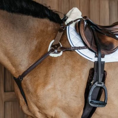 Dy'on New English Collection 5 Points Breastplate with Elastic - Image 5