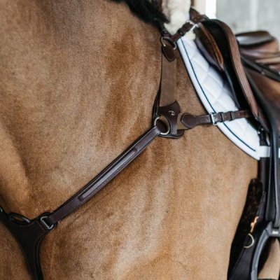 Dy'on New English Collection 5 Points Breastplate with Elastic - Image 8
