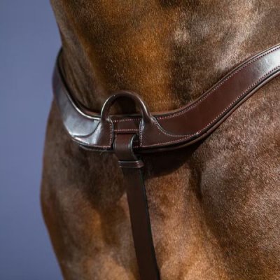 Dy'on New English Collection Anatomical Breastplate - Image 2