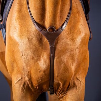Dy'on New English Collection Bridge Breastplate - Image 2