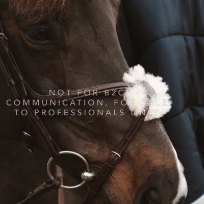 Dy'on New English Collection Figure 8 Noseband with Chain - Image 5