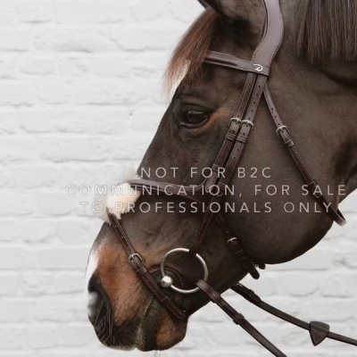 Dy'on New English Collection Figure 8 Noseband with Chain - Image 6