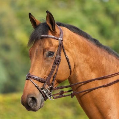Dy'on New English Collection Flash Noseband Double Bridle - Image 3