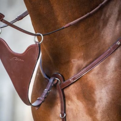 Dy'on New English Collection Hard Bib Martingale Attachment - Image 2