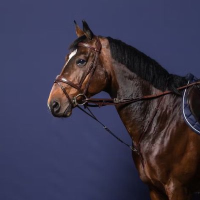 Dy'on New English Collection Howlett Attachment - Image 2
