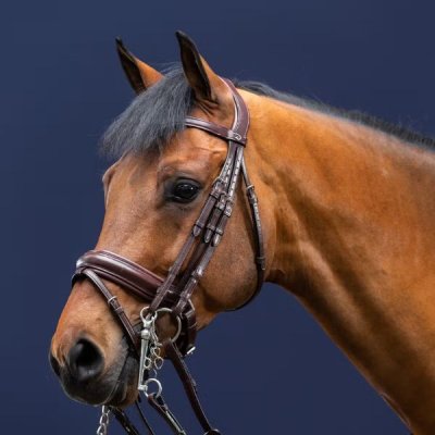 Dy'on New English Collection Matte Large Crank Noseband Double Bridle - Image 2
