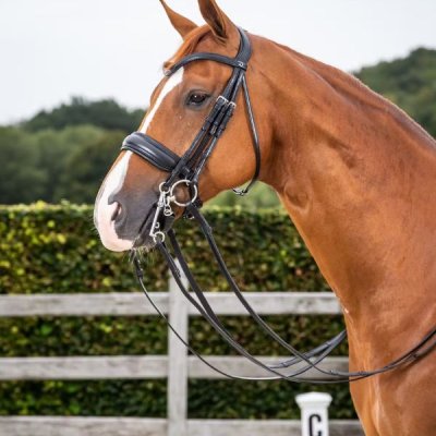 Dy'on New English Collection Matte Large Crank Noseband Double Bridle - Image 3