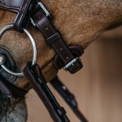 Dy'on New English Collection Plaited Flash Noseband Bridle with Pull back - Image 2