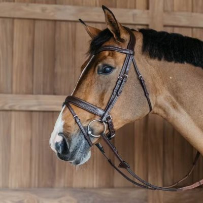 Dy'on New English Collection Plaited Flash Noseband Bridle with Pull back - Image 4