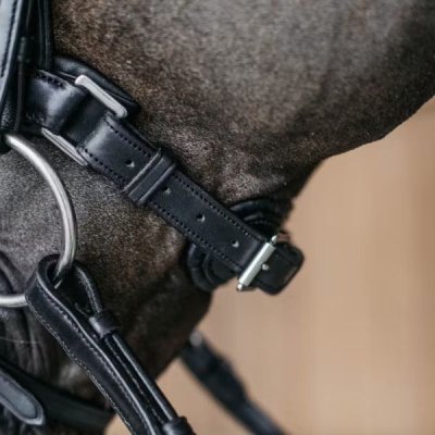 Dy'on New English Collection Plaited Flash Noseband Bridle with Pull back - Image 6