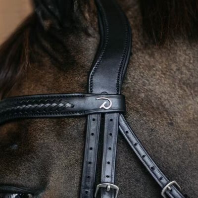Dy'on New English Collection Plaited Flash Noseband Bridle with Pull back - Image 7