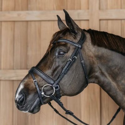 Dy'on New English Collection Plaited Flash Noseband Bridle with Pull back - Image 8