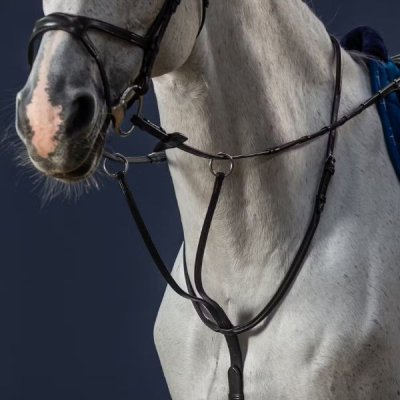 Dy'on New English Collection Running Martingale - Image 2