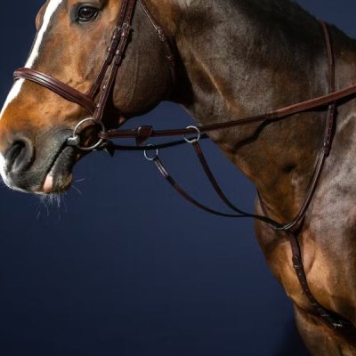Dy'on New English Collection Running Martingale - Image 3