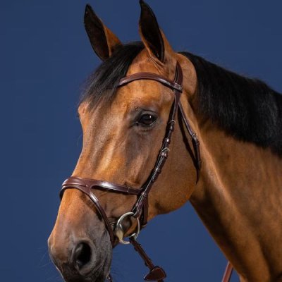 Dy'on New English Collection X-Fit Bridle - Image 2