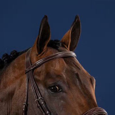 Dy'on US Hunter Collection Straight Browband Without Pins - Image 2