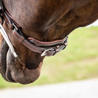 Dy'on US Hunter Collection Wide Hunter Noseband with Crank Pull Back - Image 3