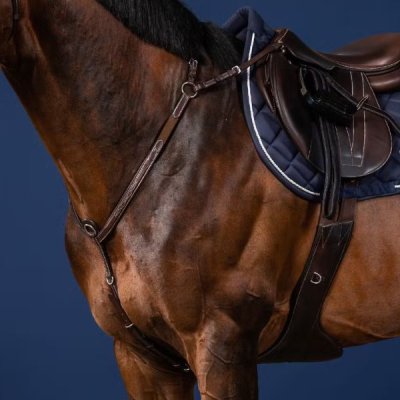 Dy'on US Jumping Collection Bridge Breastplate - Image 3