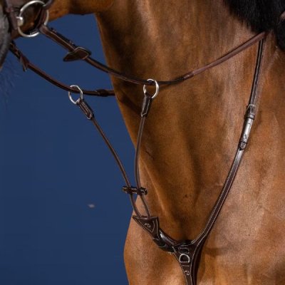 Dy'on US Jumping Collection Elastic Running Martingale Attachment - Image 2