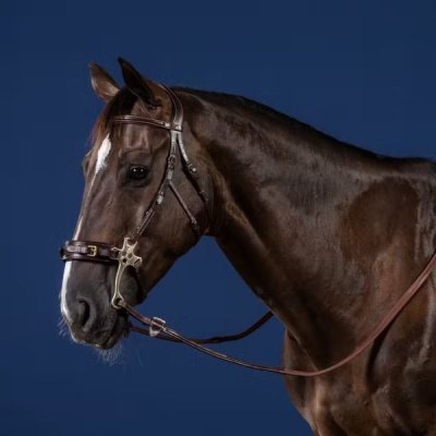 Dy'on US Jumping Collection Hackamore Bridle - Image 2