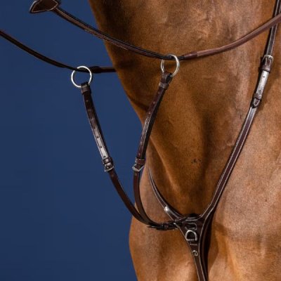 Dy'on US Jumping Collection Running Martingale Attachment - Image 3