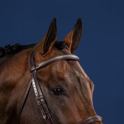 Dy'on US Jumping Collection Silver Clincher Straight Browband - Image 2