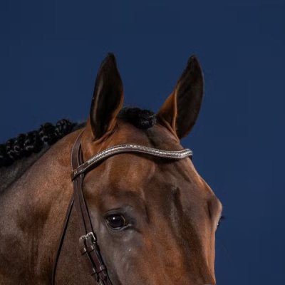 Dy'on US Jumping Collection Silver Clincher V-Shaped Browband - Image 2