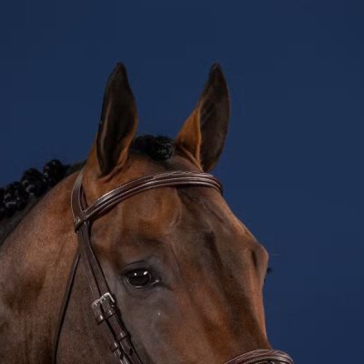 Dy'on US Jumping Collection Straight Browband - Image 2
