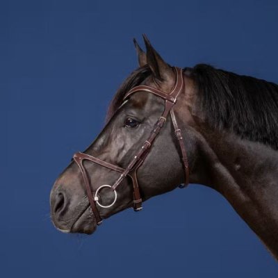 Dy'on US Jumping Collection X-Fit Bridle - Image 4