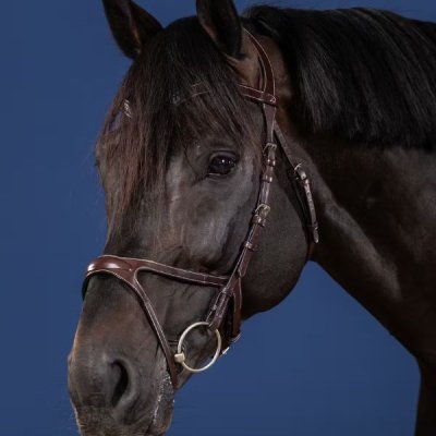 Dy'on US Jumping Collection X-Fit Bridle - Image 2