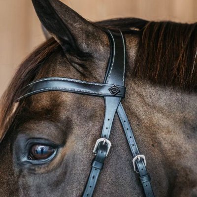 Dy'on Working Collection Bitless Bridle - Image 3