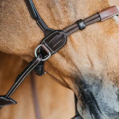 Dy'on Working Collection Bitless Bridle - Image 6