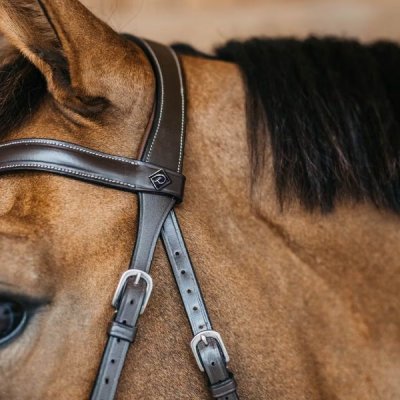 Dy'on Working Collection Bitless Bridle - Image 4