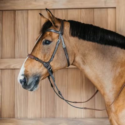 Dy'on Working Collection Bitless Bridle - Image 5