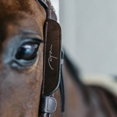Dy'on Working Collection Blinkers with fancy stitching - Image 2