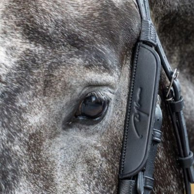 Dy'on Working Collection Blinkers - Image 2
