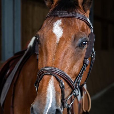 Dy'on Working Collection Blinkers - Image 3