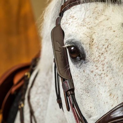 Dy'on Working Collection Blinkers - Image 4