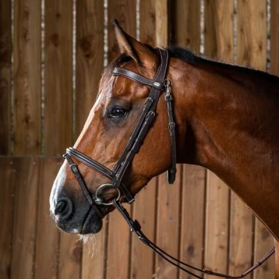 Dy'on Working Collection Flash Noseband Bridle With Snap Hook - Image 2