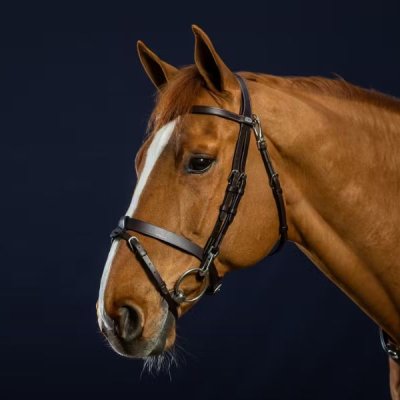 Dy'on Working Collection Flat Leather Bridle With Snap Hooks - Image 3