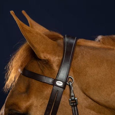 Dy'on Working Collection Flat Leather Bridle With Snap Hooks - Image 5