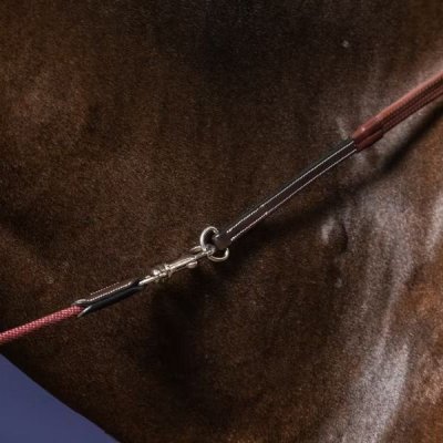 Dy'on Working Collection Gogue Reins - Image 2