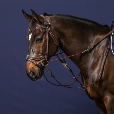 Dy'on Working Collection Gogue Reins - Image 3