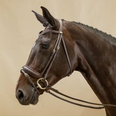 Dy'on Working Collection Matte Large Crank Noseband Bridle With Flash - Image 3