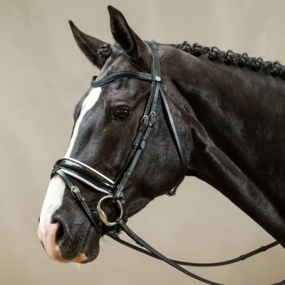 Dy'on Working Collection Patent Large Crank Noseband Bridle with White Padding and Flash - Image 2