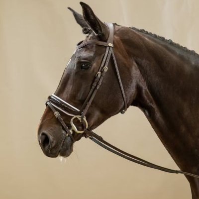 Dy'on Working Collection Patent Large Crank Noseband Bridle with White Padding and Flash - Image 3